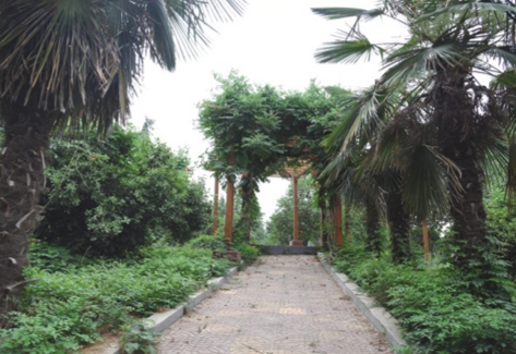 医院环境