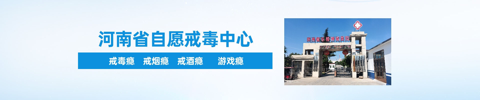 专家团队